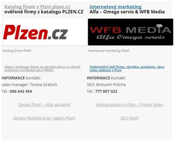 Katalog firem: Internetový marketing - SEO služby v Plzni
